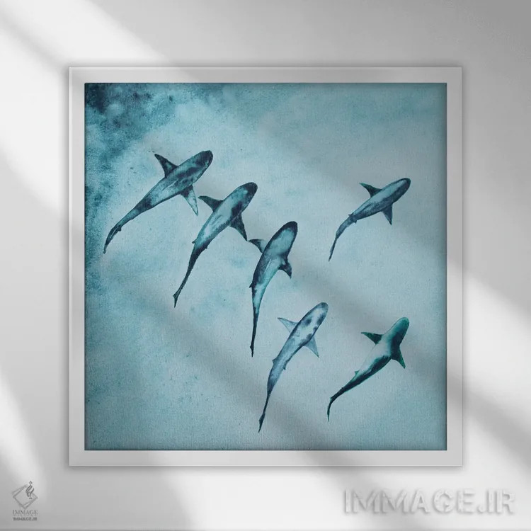 تابلو دکوراتیو شنا کردن کوسه های صخره ای اثر کارلی پرولد - نمای قابدار سفید