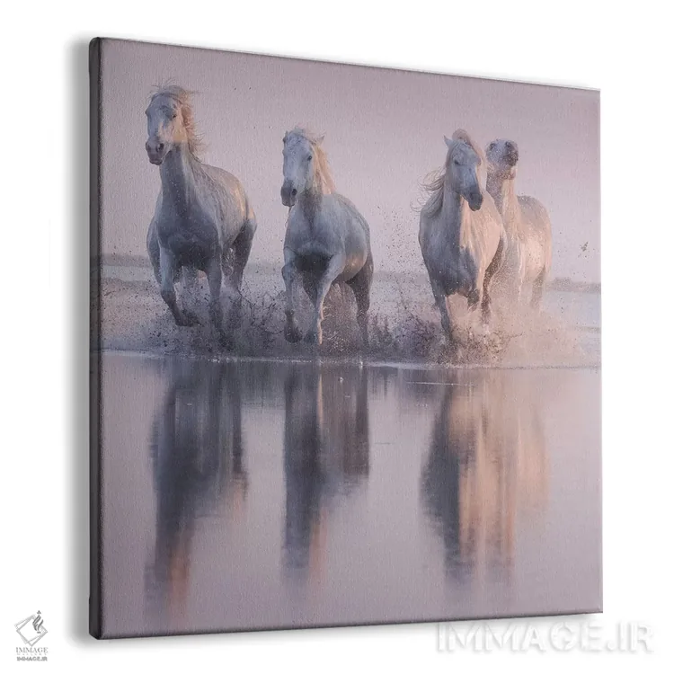 تابلو دکوراتیو فرشتگان سفید کامارگ XVI اثر دنیل کردان - نمای پرسپکتیو محصول