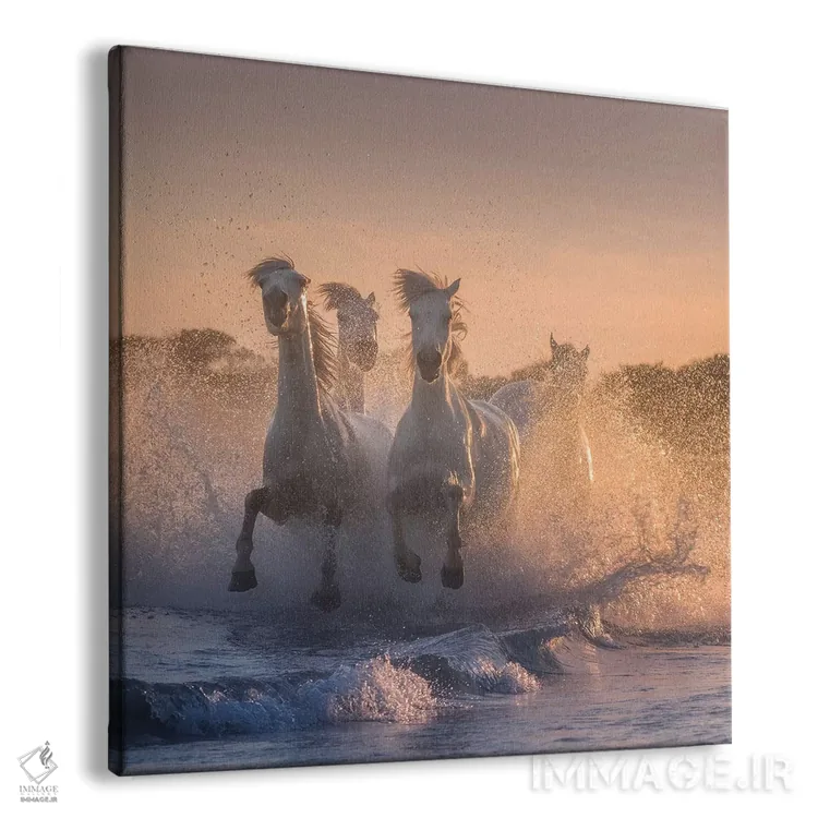 تابلو دکوراتیو فرشتگان سفید کامارگ V اثر دنیل کردان - نمای پرسپکتیو محصول