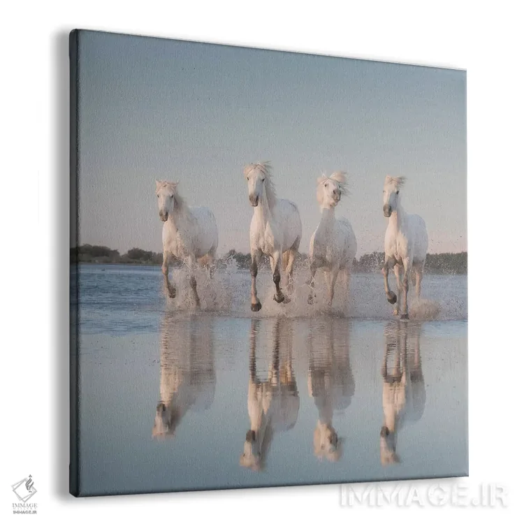 تابلو دکوراتیو فرشتگان سفید کامارگ III اثر دنیل کردان - نمای پرسپکتیو محصول