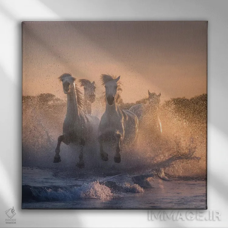 تابلو دکوراتیو فرشتگان سفید کامارگ V اثر دنیل کردان - نمای روبهرو روی دیوار