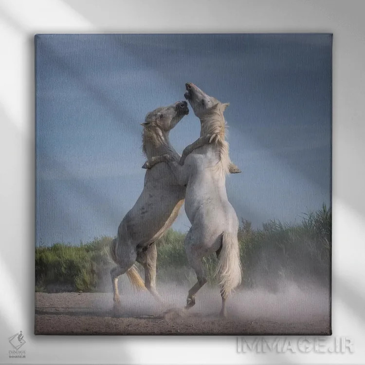 تابلو دکوراتیو فرشتگان سفید کامارگ XXI اثر دنیل کردان - نمای روبهرو روی دیوار