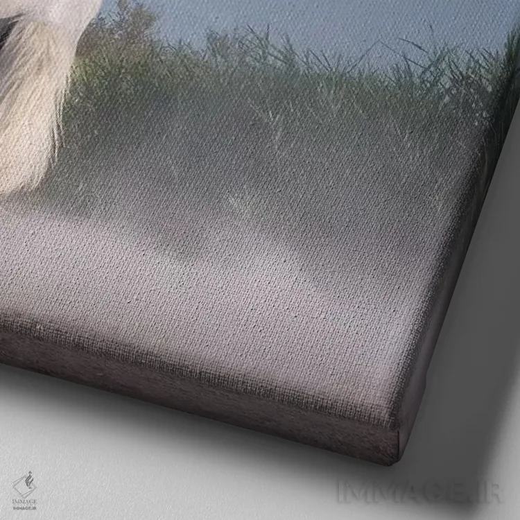 تابلو دکوراتیو فرشتگان سفید کامارگ XXI اثر دنیل کردان - نمای نزدیک بافت بوم