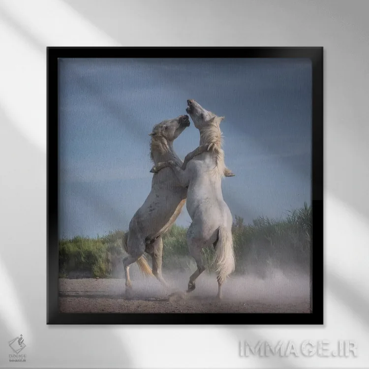 تابلو دکوراتیو فرشتگان سفید کامارگ XXI اثر دنیل کردان - نمای قابدار مشکی