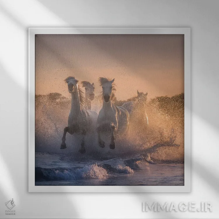 تابلو دکوراتیو فرشتگان سفید کامارگ V اثر دنیل کردان - نمای قابدار سفید