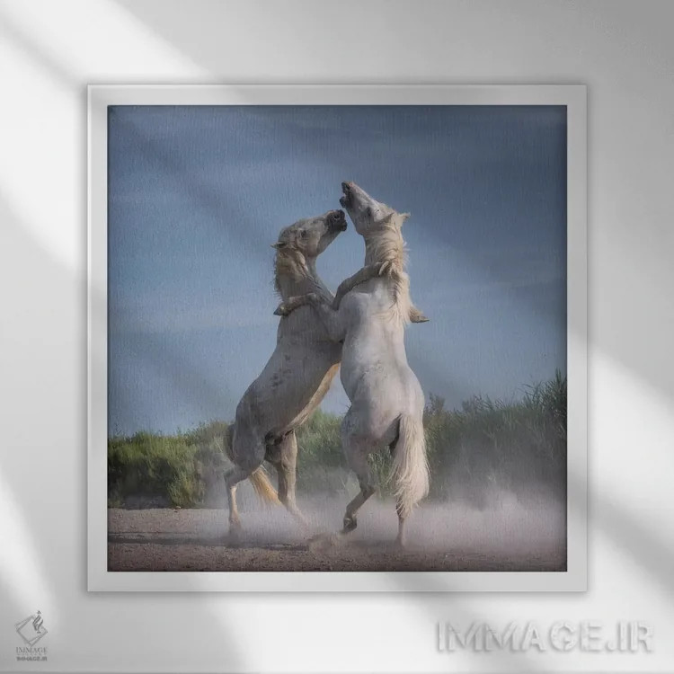 تابلو دکوراتیو فرشتگان سفید کامارگ XXI اثر دنیل کردان - نمای قابدار سفید