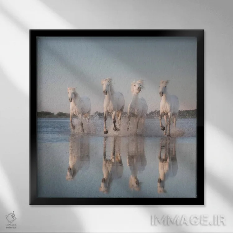 تابلو دکوراتیو فرشتگان سفید کامارگ III اثر دنیل کردان - نمای قابدار مشکی
