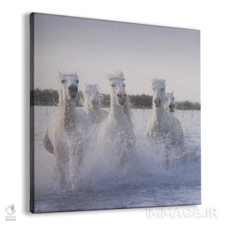 تابلو دکوراتیو فرشتگان سفید کامارگ XXII اثر دنیل کردان - نمای پرسپکتیو محصول