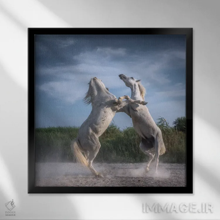 تابلو دکوراتیو فرشتگان سفید کامارگ XX اثر دنیل کردان - نمای قابدار مشکی