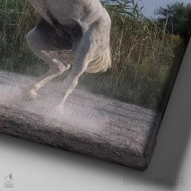 تابلو دکوراتیو فرشتگان سفید کامارگ XX اثر دنیل کردان - نمای نزدیک بافت بوم