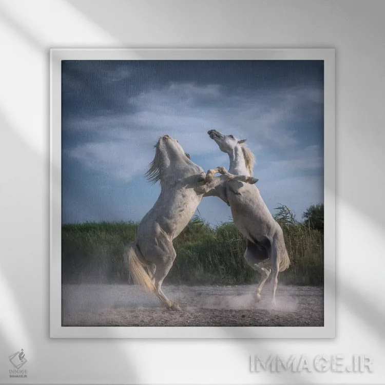 تابلو دکوراتیو فرشتگان سفید کامارگ XX اثر دنیل کردان - نمای قابدار سفید