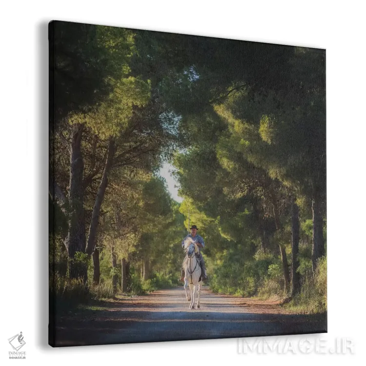 تابلو دکوراتیو کامارگ اثر دنیل کردان - نمای پرسپکتیو محصول