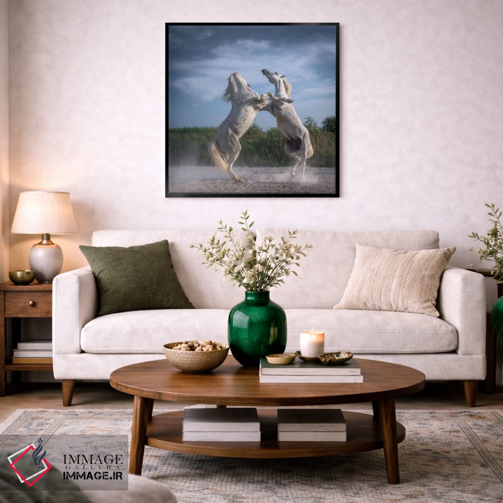 تابلو دکوراتیو فرشتگان سفید کامارگ XX اثر دنیل کردان - D5B