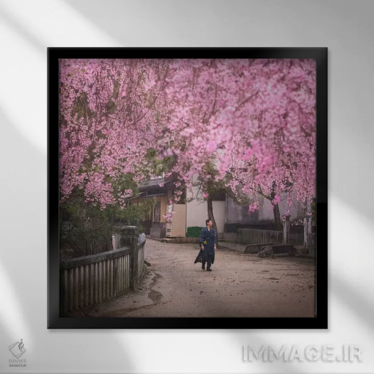 تابلو دکوراتیو بهار در ژاپن دوم اثر دنیل کردان - نمای قابدار مشکی