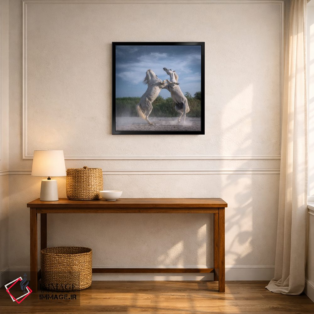 تابلو دکوراتیو فرشتگان سفید کامارگ XX اثر دنیل کردان - D6B