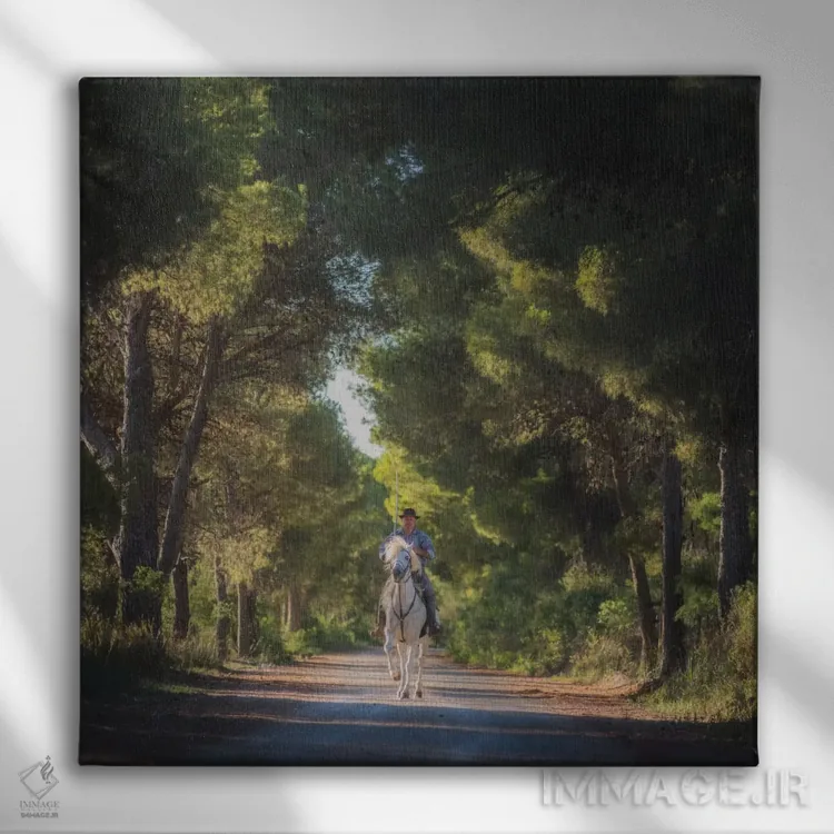 تابلو دکوراتیو کامارگ اثر دنیل کردان - نمای روبهرو روی دیوار