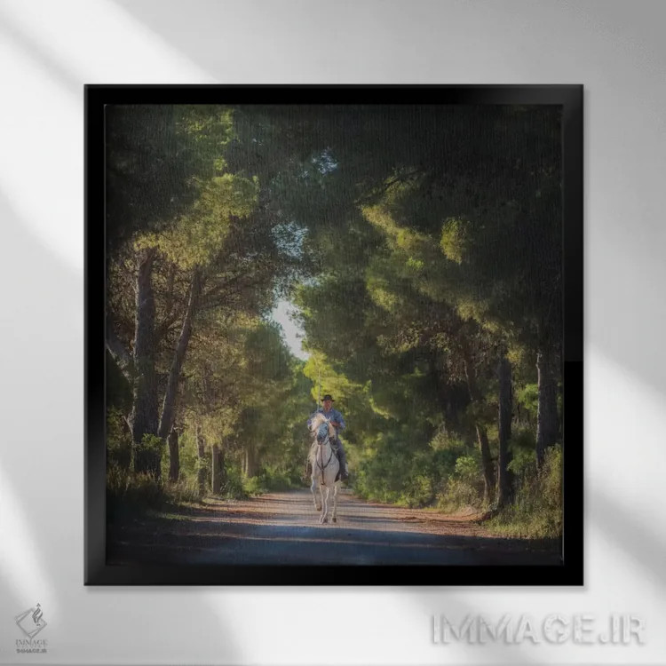 تابلو دکوراتیو کامارگ اثر دنیل کردان - نمای قابدار مشکی