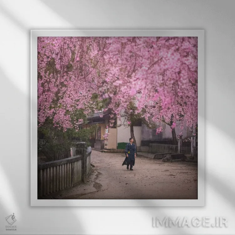 تابلو دکوراتیو بهار در ژاپن دوم اثر دنیل کردان - نمای قابدار سفید