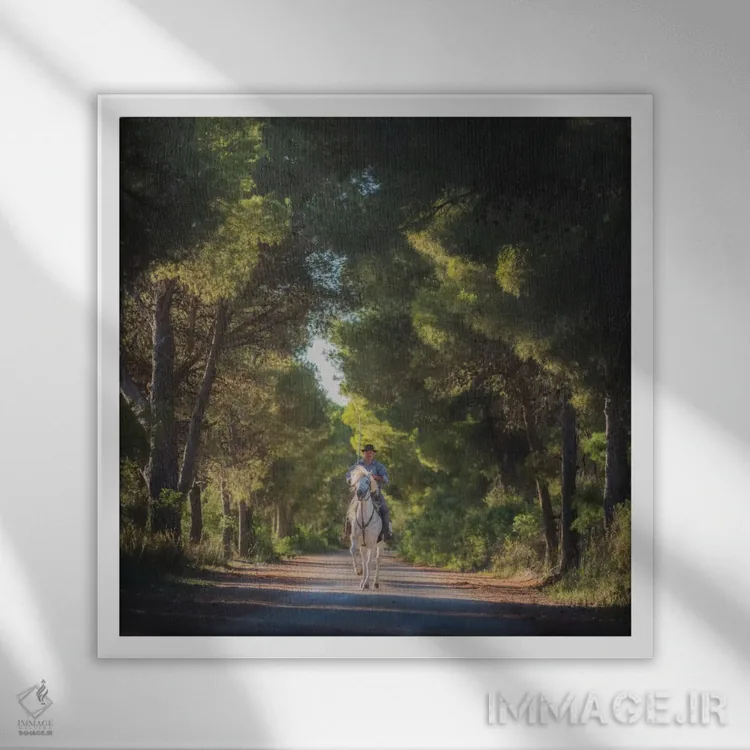 تابلو دکوراتیو کامارگ اثر دنیل کردان - نمای قابدار سفید