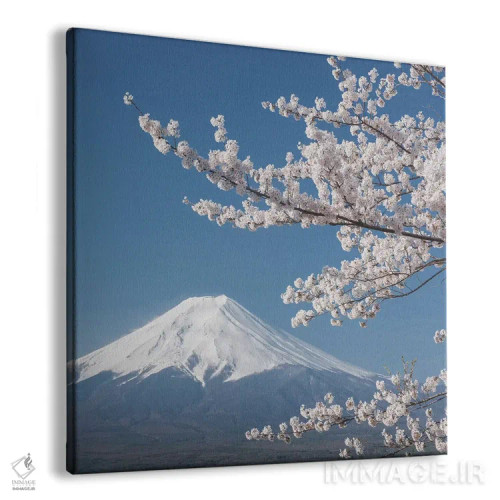 تابلو دکوراتیو بهار در ژاپن بیست وششم اثر دنیل کردان - نمای پرسپکتیو محصول