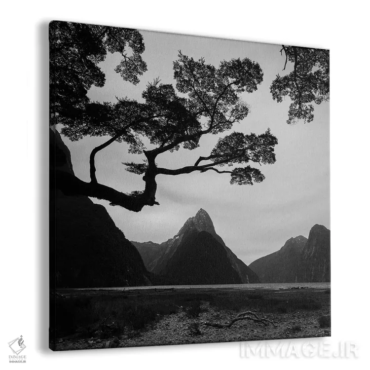 تابلو دکوراتیو بهار در نیوزیلند اول اثر دنیل کردان - نمای پرسپکتیو محصول