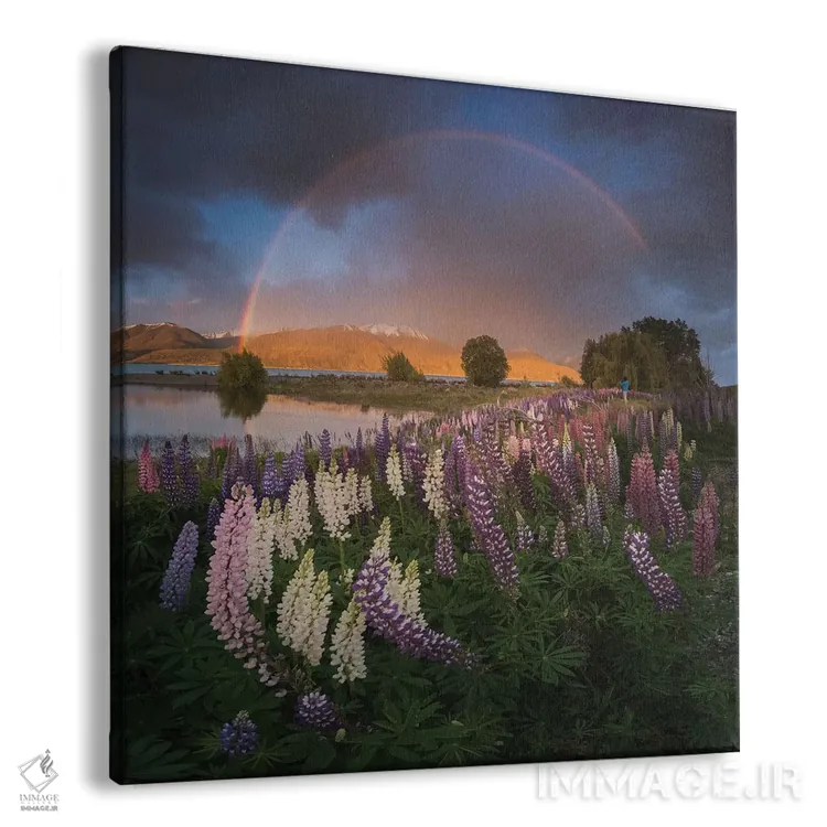 تابلو دکوراتیو بهار در نیوزیلند هفتم اثر دنیل کردان - نمای پرسپکتیو محصول