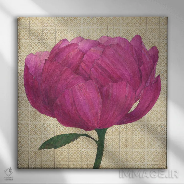 تابلو دکوراتیو گل صدتومانی صورتی اثر کارن سیکیه - نمای روبهرو روی دیوار