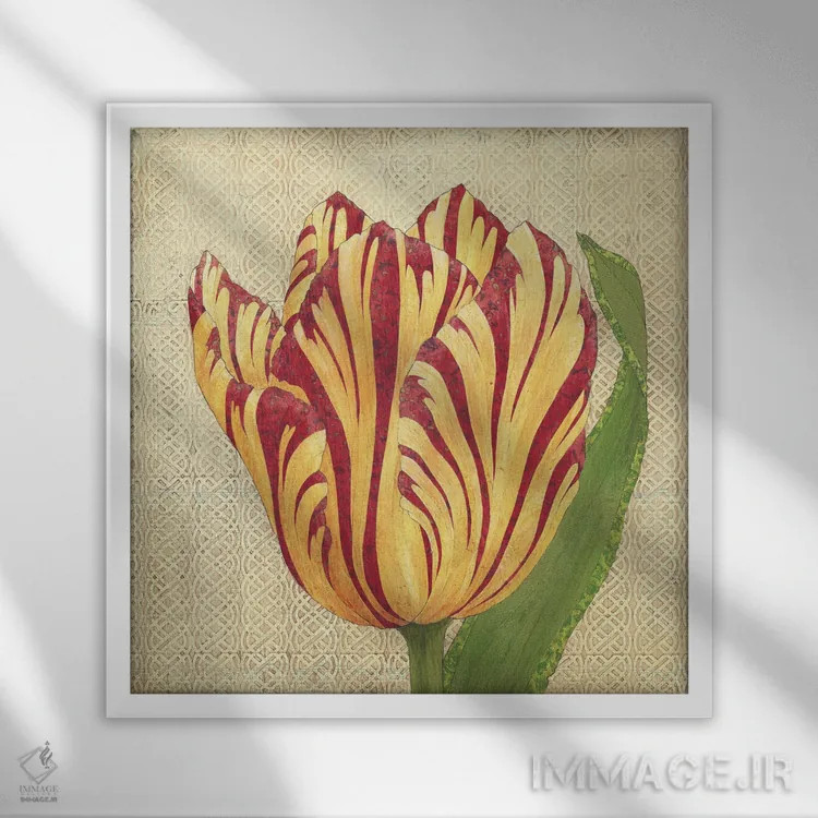 تابلو دکوراتیو لاله آتشین اثر کارن سیکیه - نمای قابدار سفید