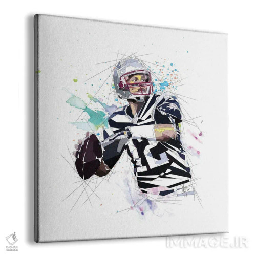 تابلو دکوراتیو تام بردی اثر کاتیا اسکای - نمای پرسپکتیو محصول