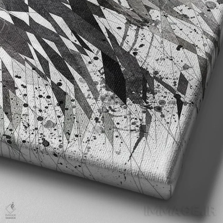 تابلو دکوراتیو شیر سیاه و سفید اثر کاتیا اسکای - نمای نزدیک بافت بوم