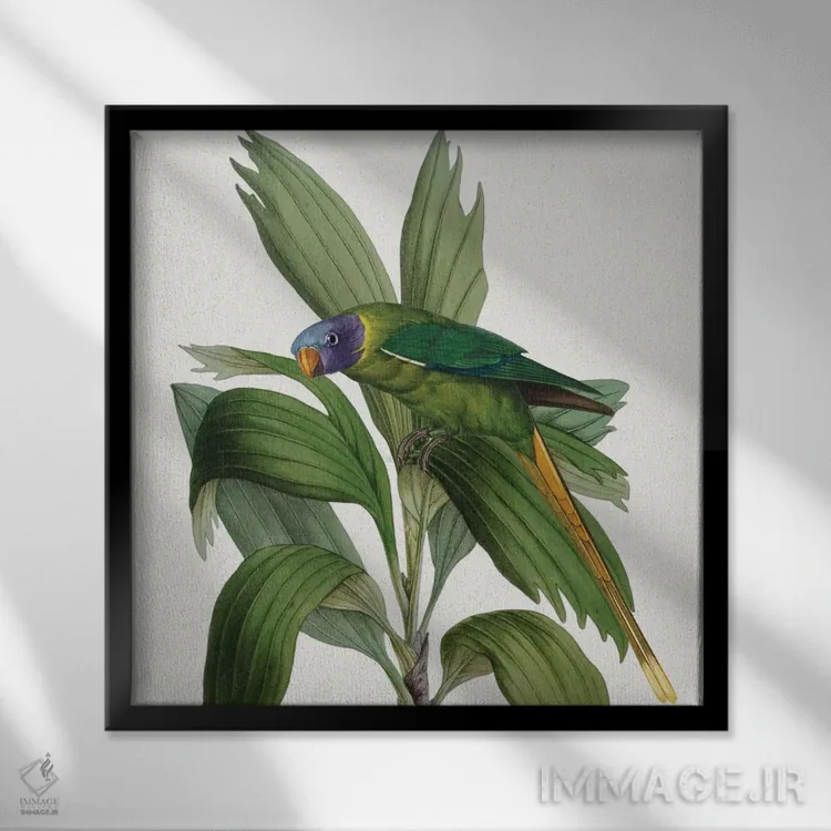 تابلو مینیمال آزادپرنده I اثر کارن اسمیت - نمای قابدار مشکی