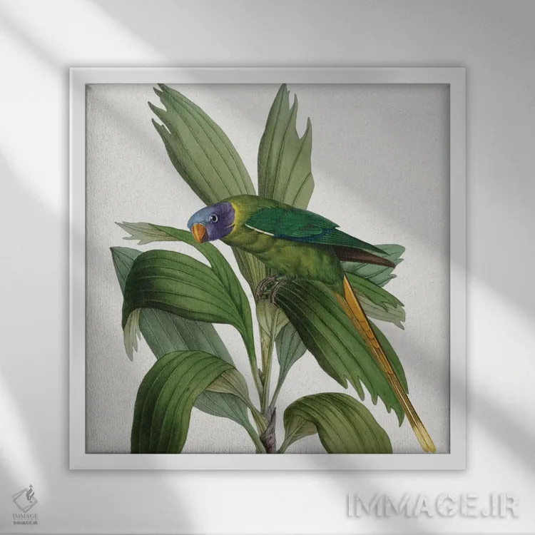 تابلو مینیمال آزادپرنده I اثر کارن اسمیت - نمای قابدار سفید