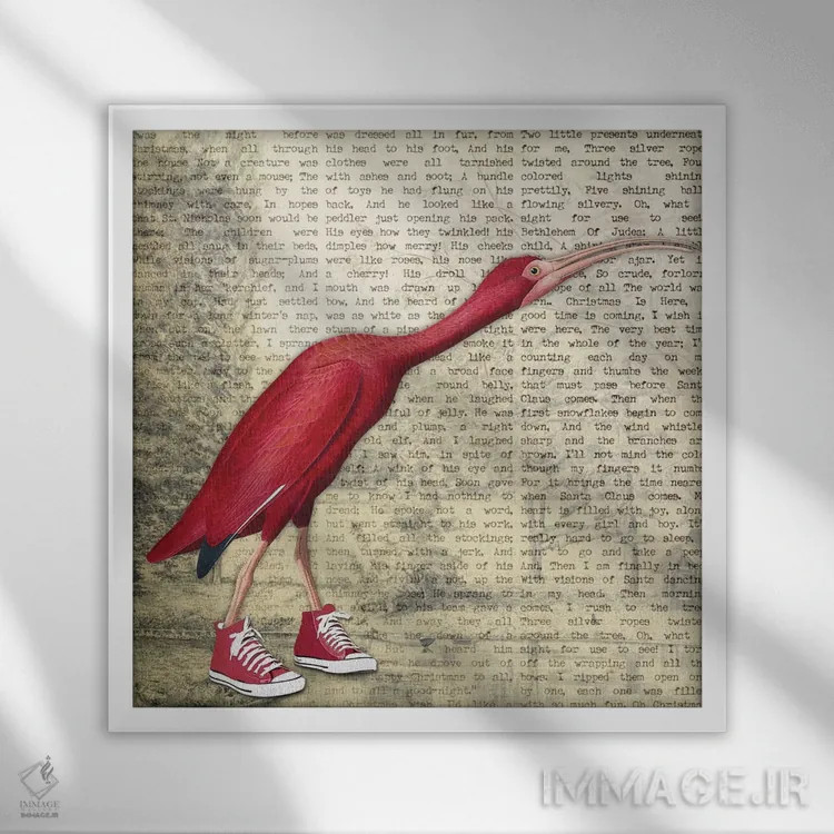 تابلو دکوراتیو کفش پرنده I اثر کارن اسمیت - نمای قابدار سفید