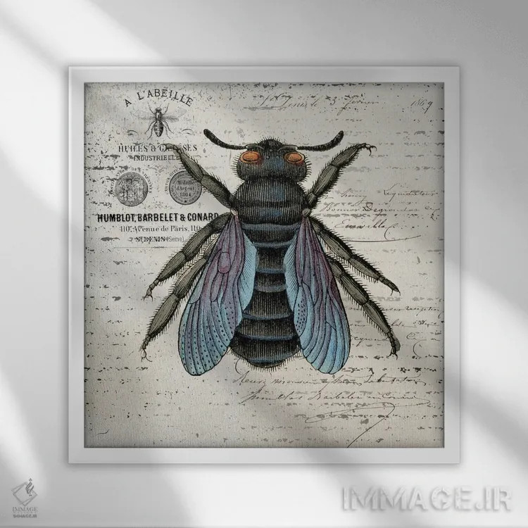 تابلو دکوراتیو زنبور تاریخ II اثر کارن اسمیت - نمای قابدار سفید