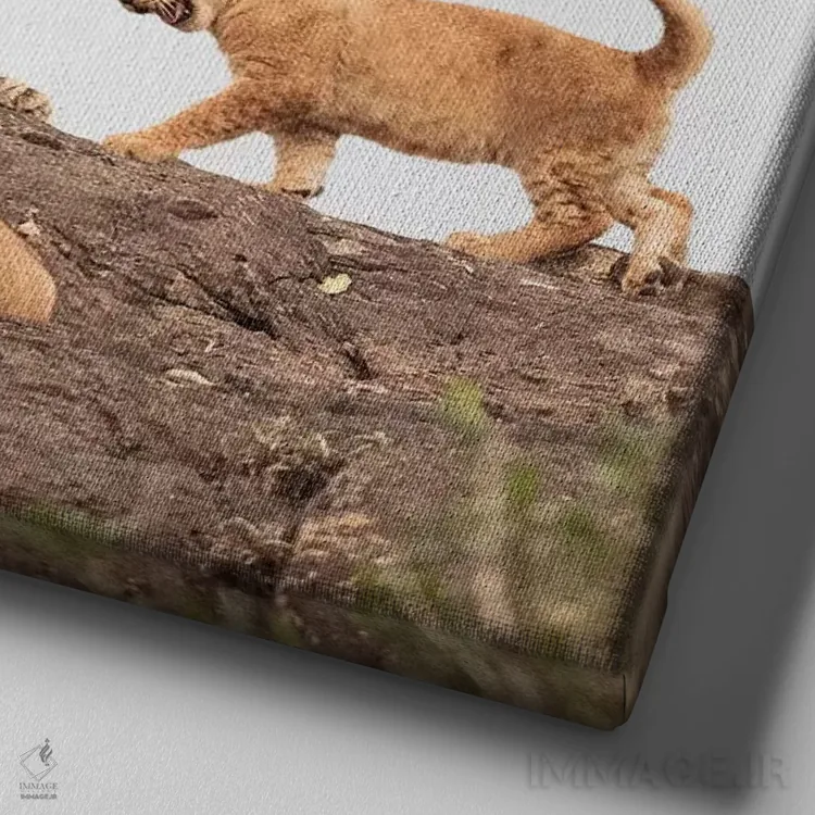 تابلو دکوراتیو شیر ماده رنگی و توله ها اثر کلاوس تیدگه - نمای نزدیک بافت بوم