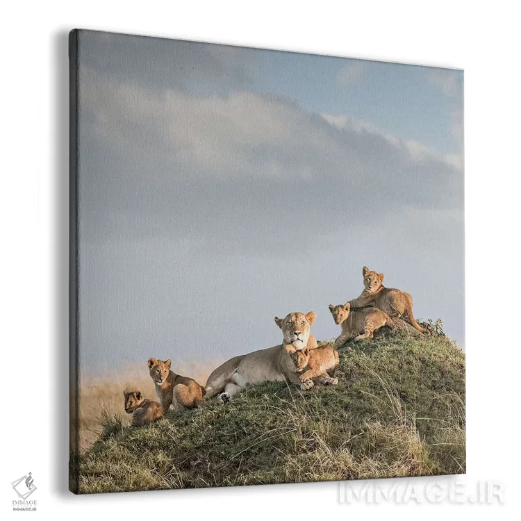 تابلو دکوراتیو شیر ماده رنگی و توله ها اثر کلاوس تیدگه - نمای پرسپکتیو محصول