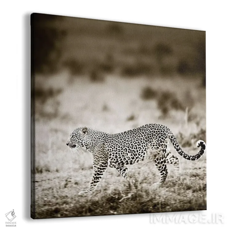 تابلو دکوراتیو پلنگ نزدیک شونده اثر کلاوس تیدگه - نمای پرسپکتیو محصول