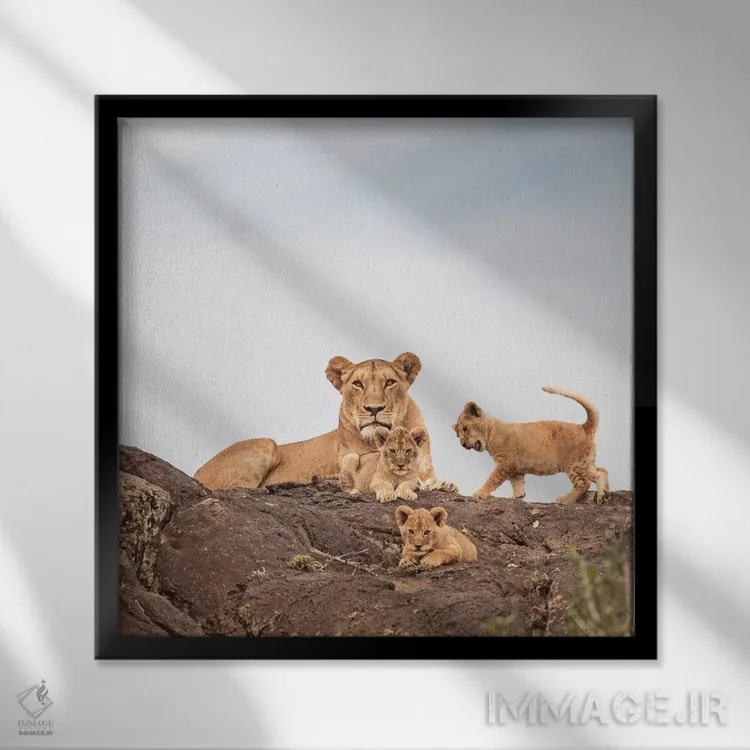 تابلو دکوراتیو شیر ماده رنگی و توله ها اثر کلاوس تیدگه - نمای قابدار مشکی