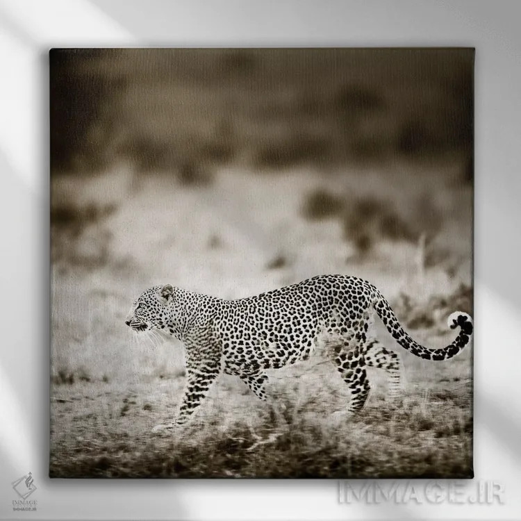 تابلو دکوراتیو پلنگ نزدیک شونده اثر کلاوس تیدگه - نمای روبهرو روی دیوار