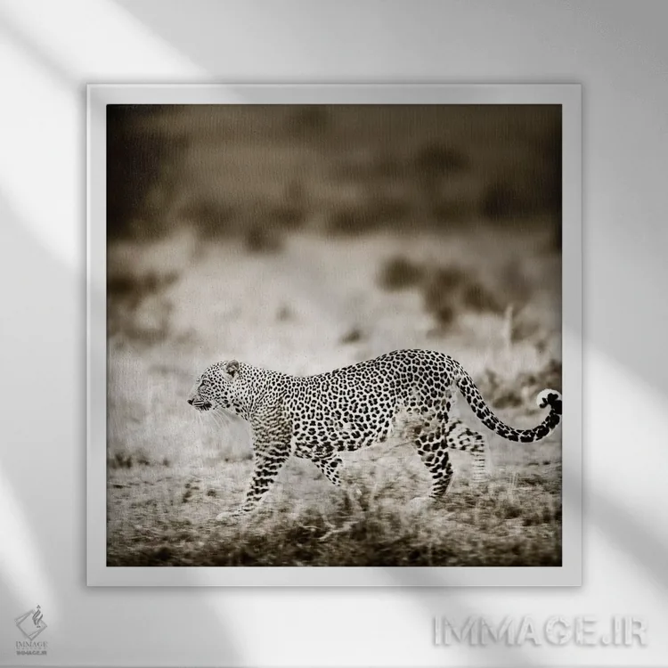 تابلو دکوراتیو پلنگ نزدیک شونده اثر کلاوس تیدگه - نمای قابدار سفید