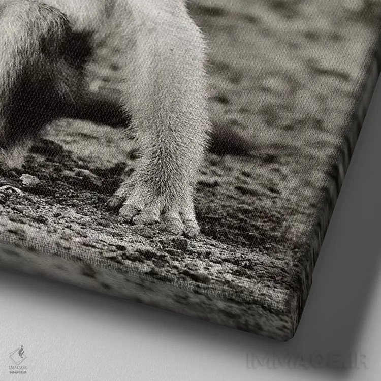 تابلو دکوراتیو میمون بازیگوش سیاه و سفید اثر کلاوس تیدگه - نمای نزدیک بافت بوم