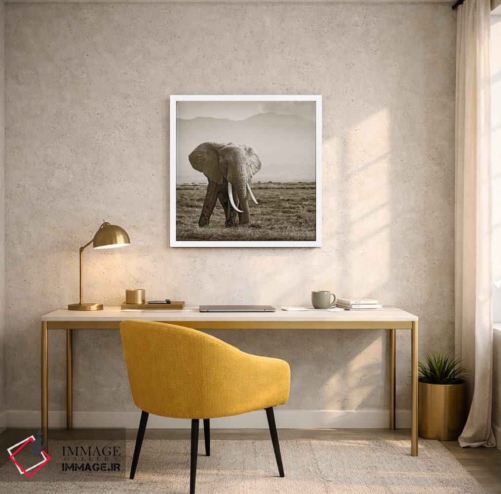 تابلو دکوراتیو فیل با عاج های بزرگ اثر کلاوس تیدگه - D4W