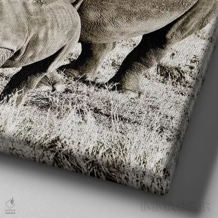 تابلو دکوراتیو کرگدن پیوسته اثر کلاوس تیدگه - نمای نزدیک بافت بوم