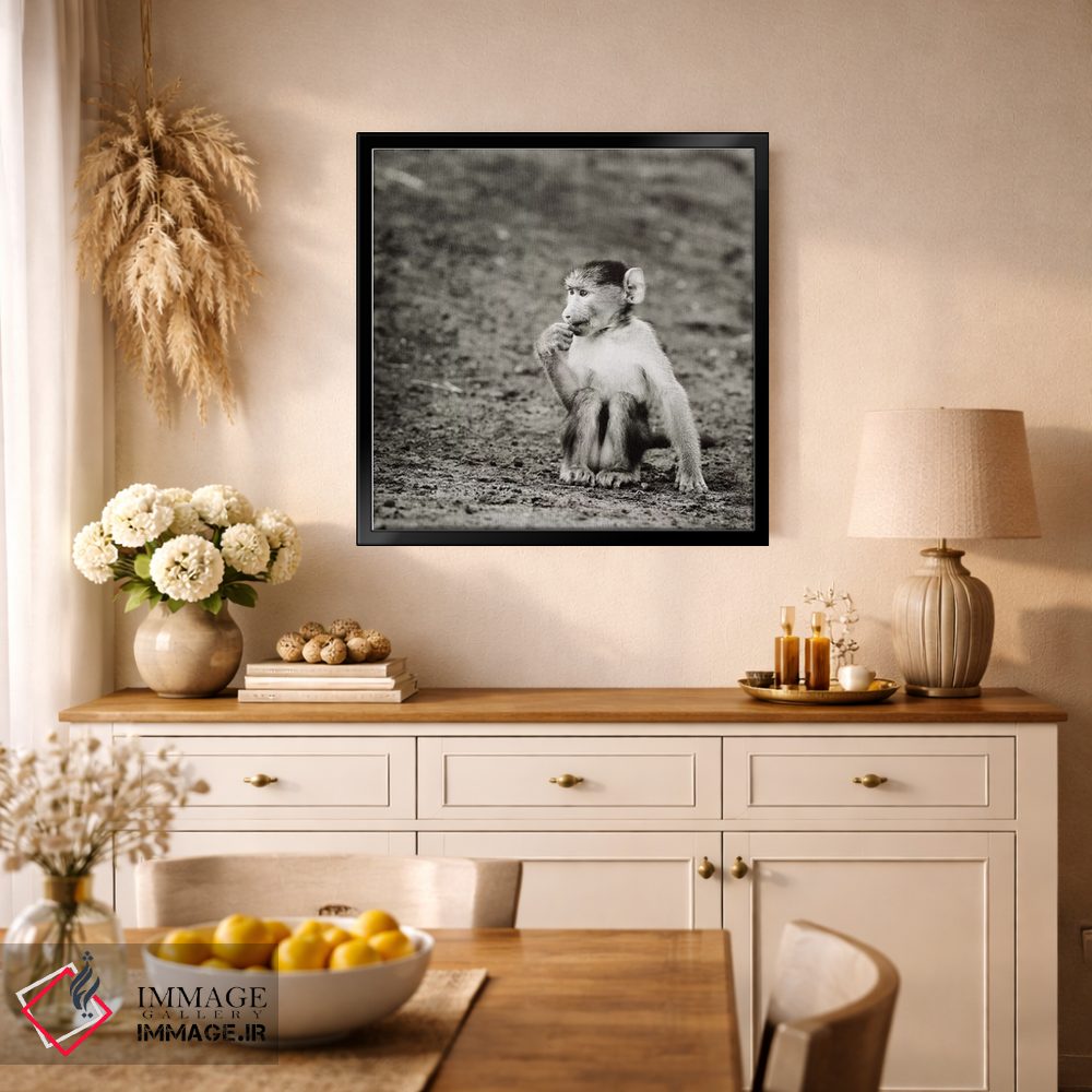 تابلو دکوراتیو میمون بازیگوش سیاه و سفید اثر کلاوس تیدگه - D1B