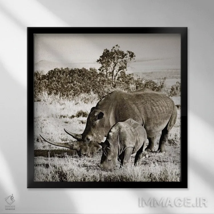 تابلو دکوراتیو کرگدن پیوسته اثر کلاوس تیدگه - نمای قابدار مشکی