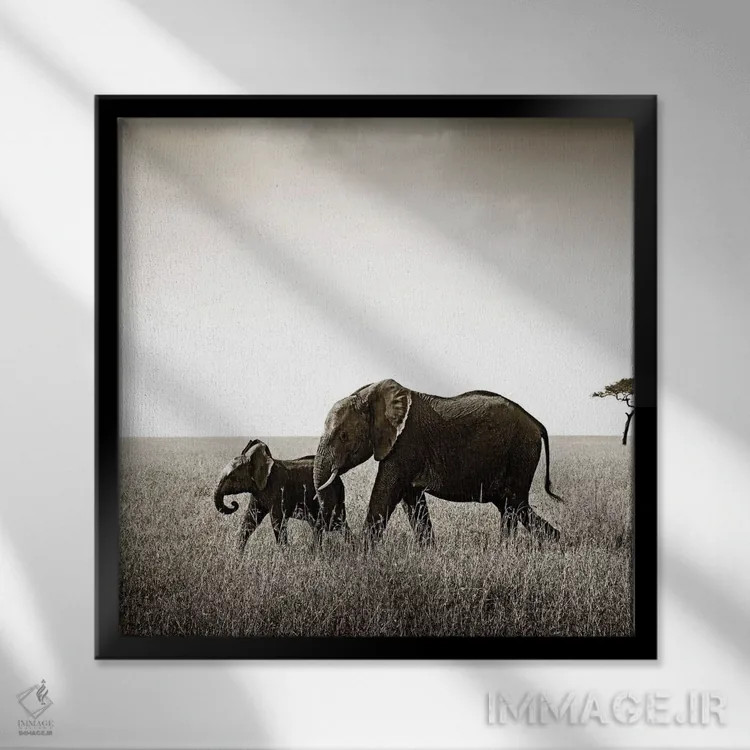 تابلو دکوراتیو فیل پیوسته اثر کلاوس تیدگه - نمای قابدار مشکی
