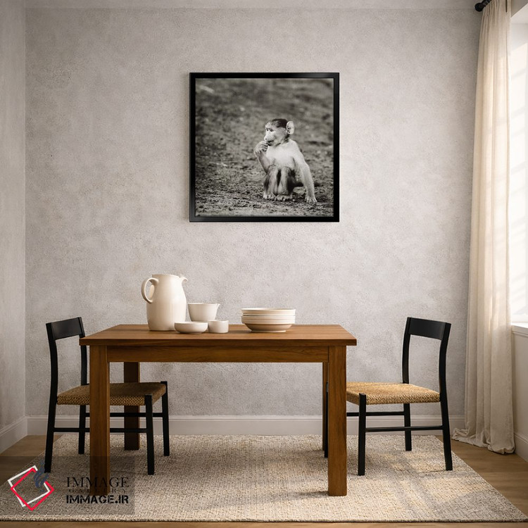 تابلو دکوراتیو میمون بازیگوش سیاه و سفید اثر کلاوس تیدگه - D3B