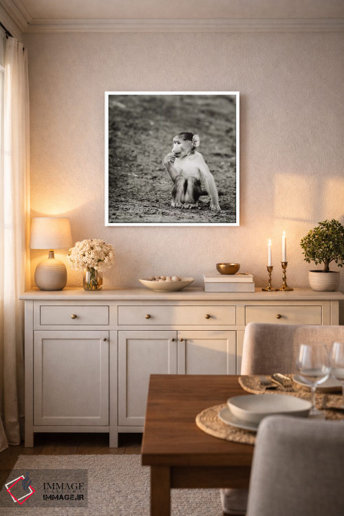 تابلو دکوراتیو میمون بازیگوش سیاه و سفید اثر کلاوس تیدگه - D5W