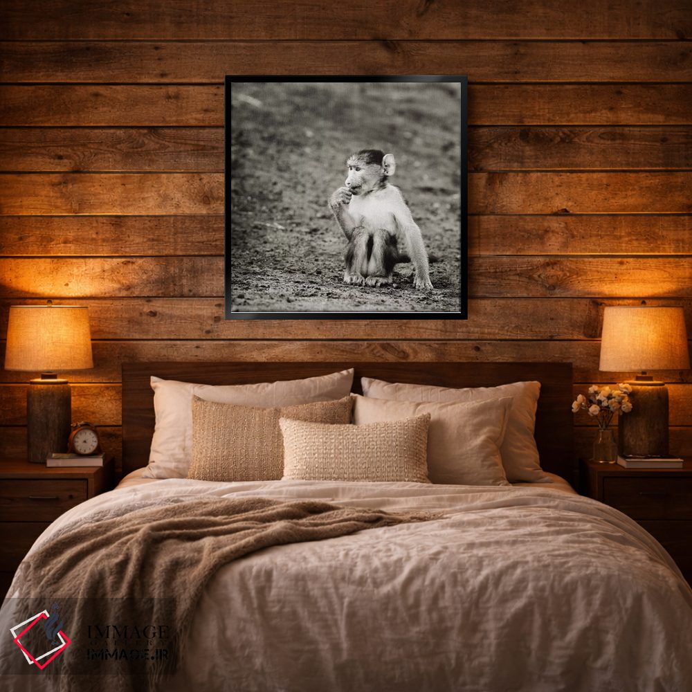 تابلو دکوراتیو میمون بازیگوش سیاه و سفید اثر کلاوس تیدگه - D4B