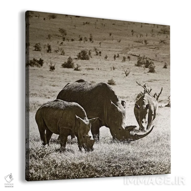 تابلو دکوراتیو کرگدن های در حال چرا اثر کلاوس تیدگه - نمای پرسپکتیو محصول